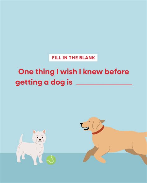 Families are posting their new Petsmart kittens on Instagram today