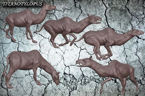 Titanotylopus 5 Different Poses Kit