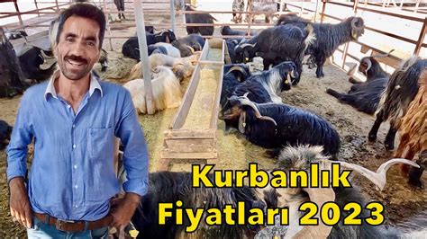 Hayvan Pazarı Hareketlenmeye Başladı Kurbanlık Fiyatları 2023