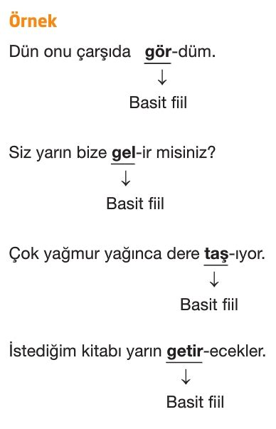 Fiilde Yapı Türkçe 7 Sınıf Konu Anlatımı Örnekler