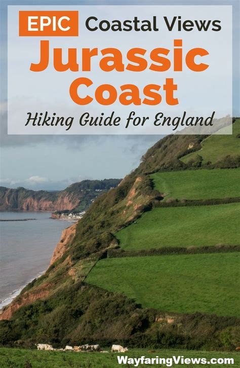 Crazy Geology And Epic Views On The Jurassic Coast Walk Travel