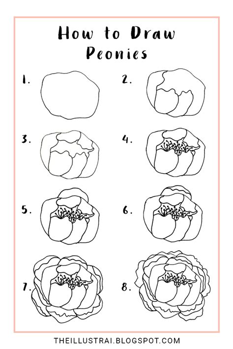 The Illustrai: How to Draw Peonies | Peony drawing, Flower drawing