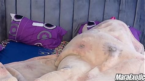 Early Morning Fuck Search XVIDEOS