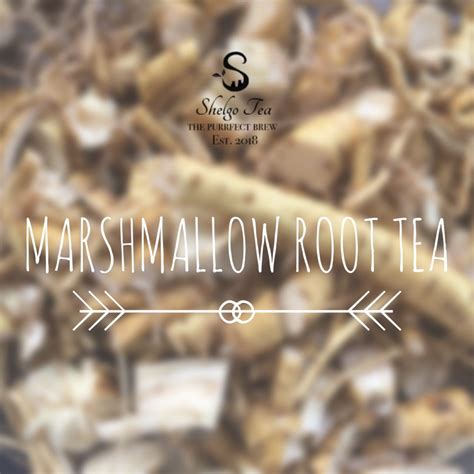 Side Effects and Benefits of Marshmallow Root Tea – Shelgo Tea