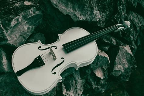 Instrument Violon La Musique Photo Gratuite Sur Pixabay Pixabay