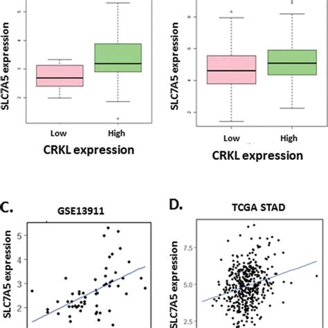 The Correlation Between Expression Characteristic Of Crkl And Slc A In