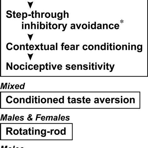 The Sex Of The Mice Used For Behavioral Analysis And The Testing