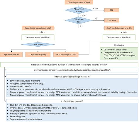 Frontiers Recommendations For The Individualised Management Of