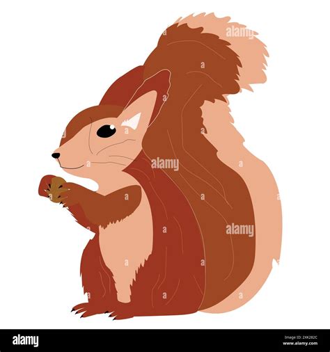 Vector Illustration Of Squirrel Holding A Walnut Stock Vector Image