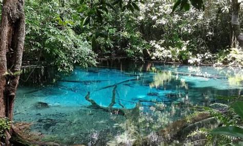 Krabi Town Tourism 2020 Best Of Krabi Town Thailand Tripadvisor