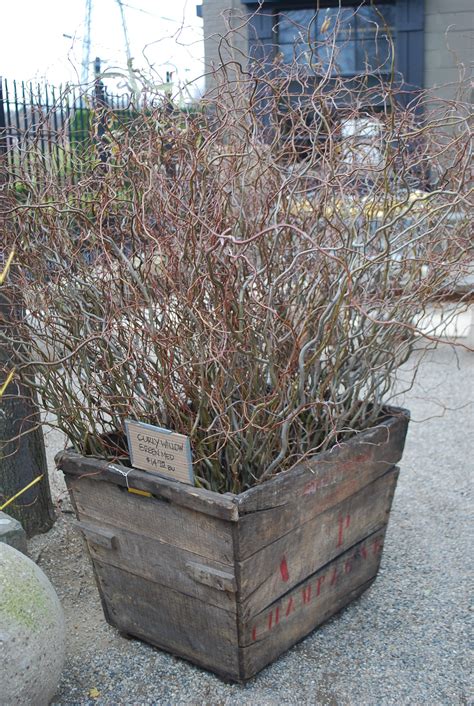 Coppice Wood | Deborah Silver & Co.