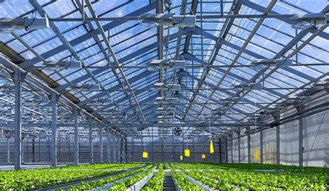 Greenhouse Equipment – Feederstech