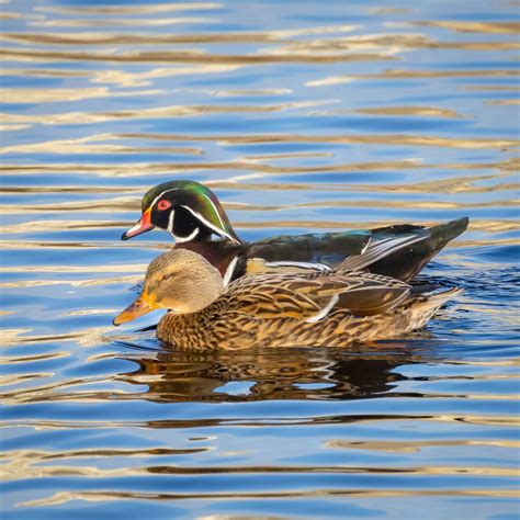 Upcoming renovations will soon transform boathouse central park 23