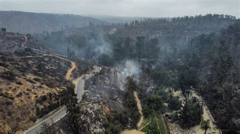 Drone Capta Cómo Quedó El Jardín Botánico Tras Incendios 24horas