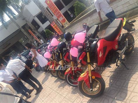 Hot girl 9X cùng đoàn Honda MSX 125 rước dâu tại Sài thành