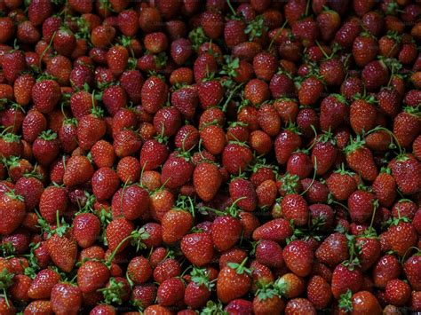 Foto Zum Thema Ein Großer Haufen Erdbeeren Die übereinander Sitzen