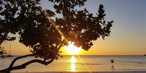 Visit Hanover: Best of Hanover Tourism | Expedia Travel Guide