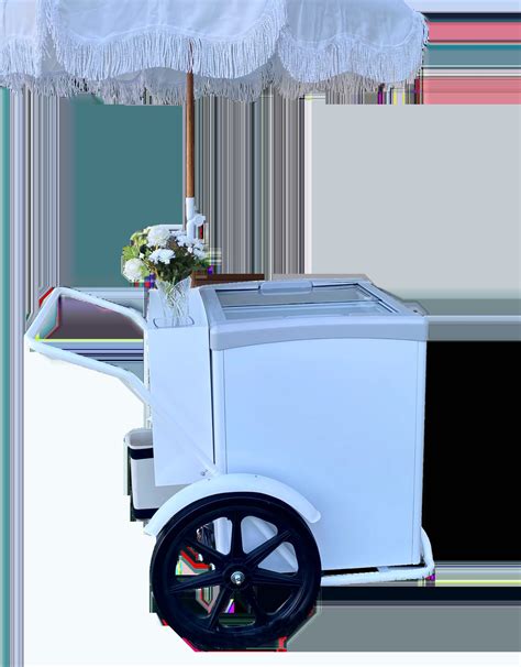 ICE CREAM CART Gelato Cart Freezer Cart Electric Ice Cream Carts Dual