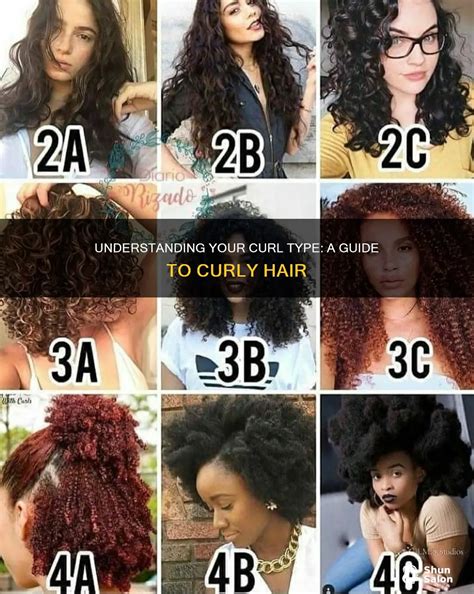 understanding  curl type  guide  curly hair shunsalon