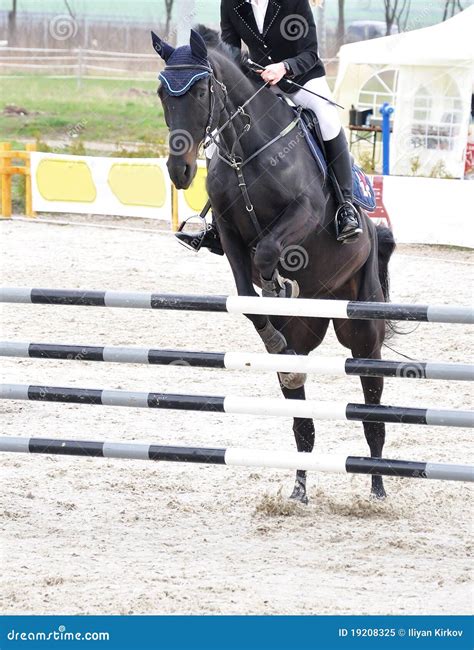 Equestrian Jumping On Black Horse Royalty Free Stock Photo - Image ...