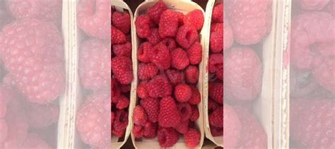 Малина садовая крупная купить в Санкт-Петербурге | Товары для дома и ...