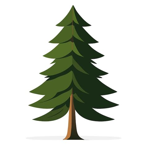 Premium Vector 2d Vector Art Coniferous Tree Isolated On White