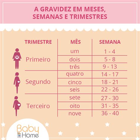 Quando Começa O 3 Trimestre - Trimestres De Gravidez Classe De Risco Para Gestantes Anestesiologia