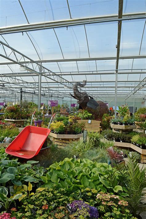 How to Visit Pennells Garden Centre by Local Bus 3