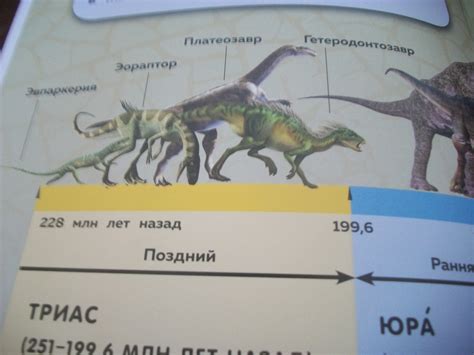 100 7533 — Postimages