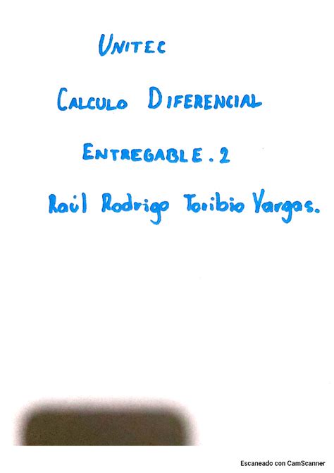 Ent 2 Cal Culo Toribio Vargas UNITED CALCULO DIFERENCIAL ENTREGABLE E