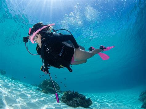 tdb   scuba dive   experience