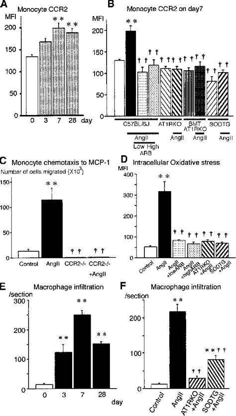 Critical Role Of Monocyte Chemoattractant Protein 1 Receptor Ccr2 On