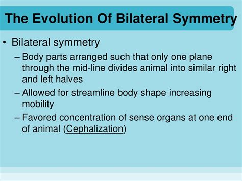 PPT - Chapter 8 Lower Invertebrates PowerPoint Presentation, free