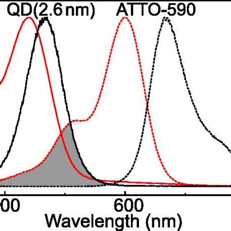 Normalized Absorption And Luminescence Spectra Of The Cdse Zns Qds