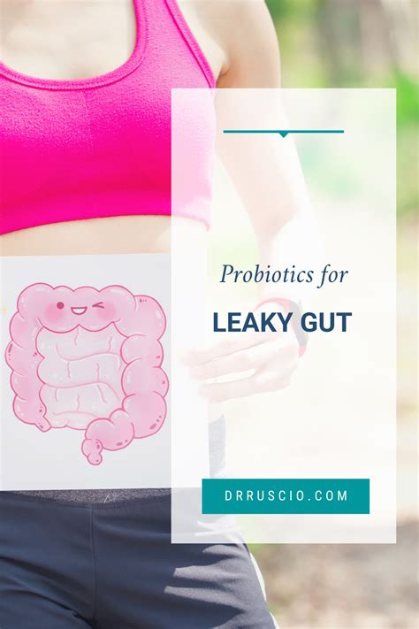 Your Guide On How To Use Probiotics For Leaky Gut Probiotics Leaky