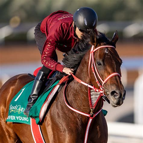 Ithink amphitheater summer lineup features massive international stars