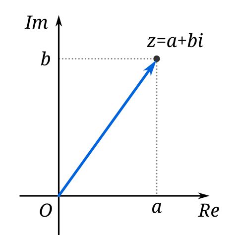 Kompleksan Broj Wikipedija Википедија