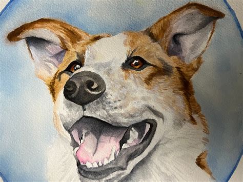 paws cat city progressive animal welfare society 2