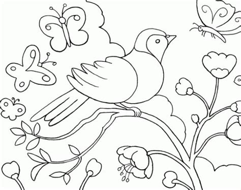 Desenhos para colorir natureza e animais