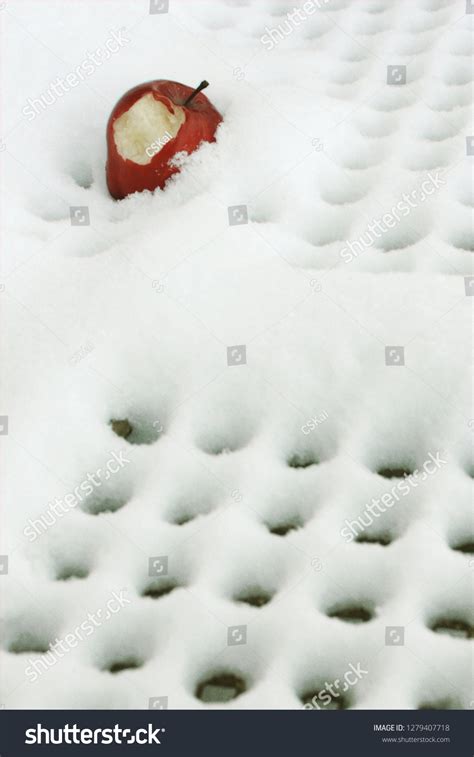 full color image partially eaten apple stock photo