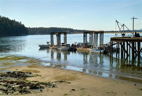 Tofino British Columbia Canada â€ March 31 2019 Downtown Tofino