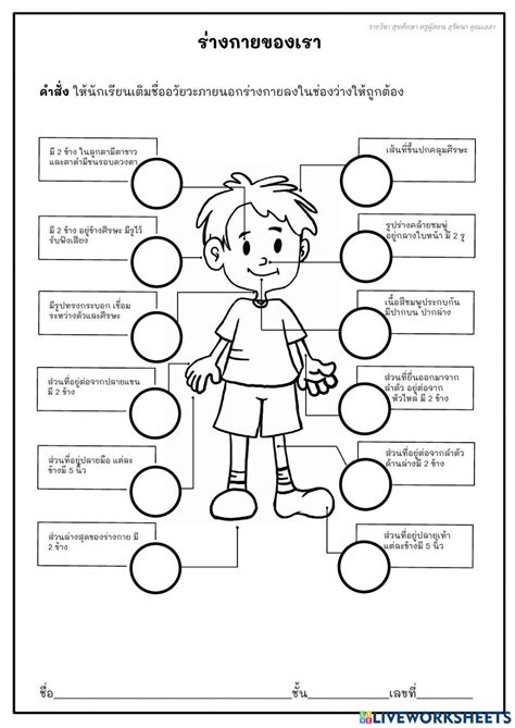 1123230 ใบงานสุขศึกษา เรื่อง ร่างกายของเรา