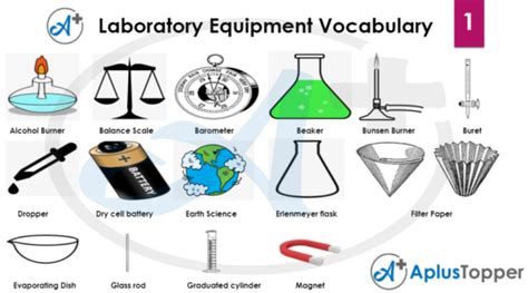 Laboratory Equipment Vocabulary List Of Lab Equipment In English With