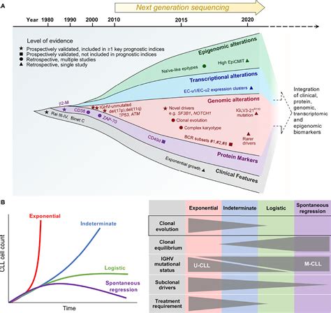 Frontiers Clonal Evolution Of High Risk Chronic Lymphocytic Leukemia