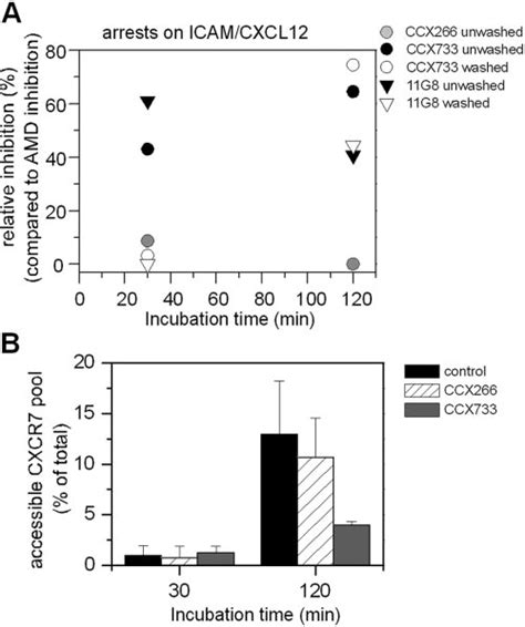 Cxcr7 Mediated Modulation Of Integrin Activation By Cxcl12 Requires