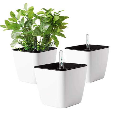 Buy T4U 5 25 Self Watering Plastic Er With Water Level Indicator Pack