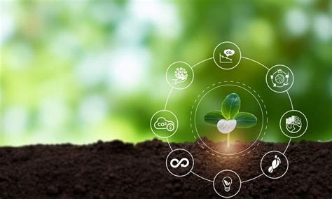 Ecological Footprint vs Carbon Footprint: Understanding Environmental ...