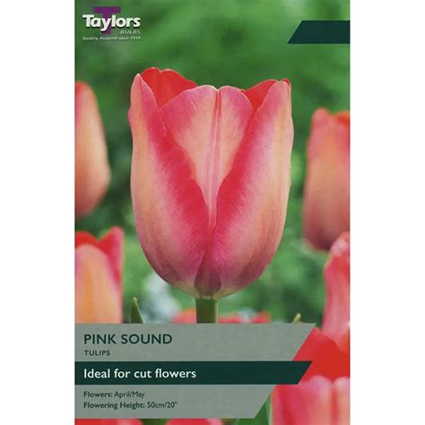 Tulip Pink Sound 9 Bulbs Ideal For Cut Flowers