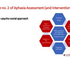 Aia Aphasia Intervention Introduction And Principles Week