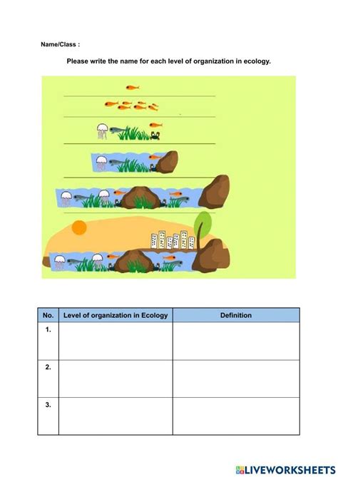 levels  organization ecology worksheet  flynn rowan blog